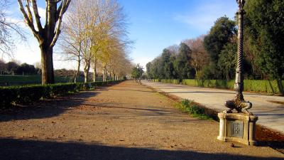 viale del parco delle Cascine