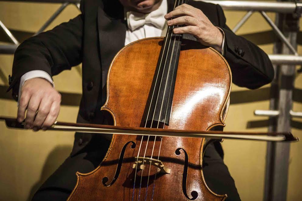 suonatore viola string