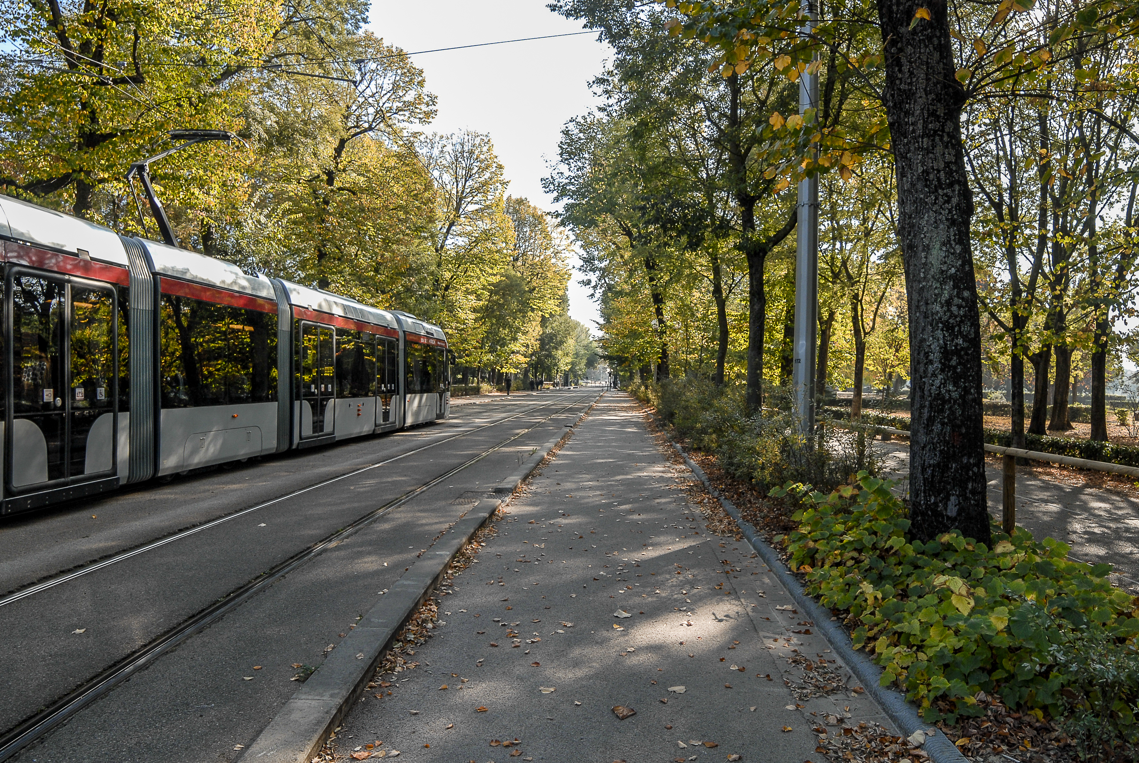 Sistemazione a verde tramvia