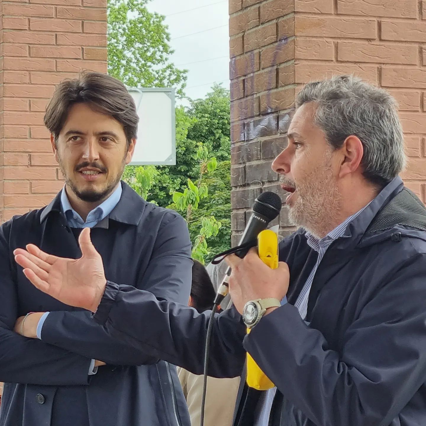 Alberi, Costituzione, Lavoro al Quartiere 5