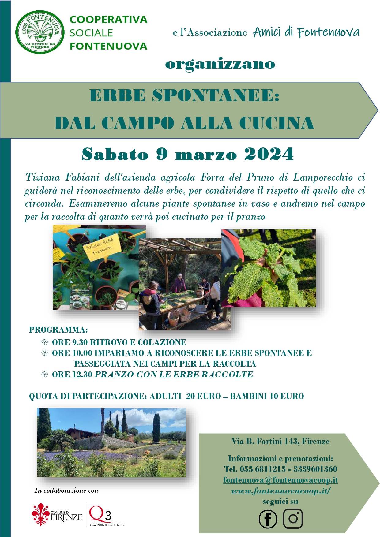 Festa delle erbe spontanee Festa delle erbe spontanee