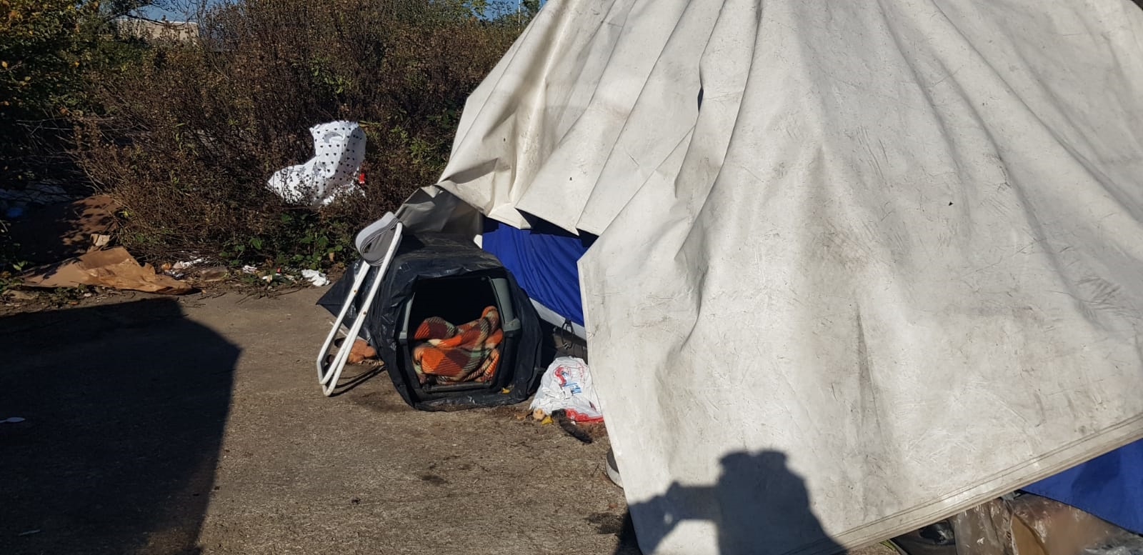 Via Carlo Lorenzini Via Carlo Lorenzini