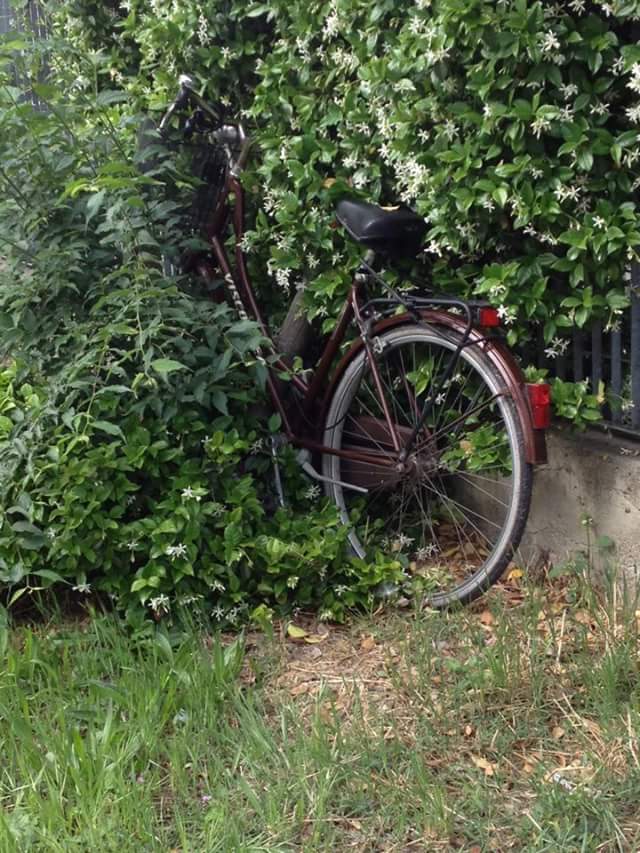 Viale XI Agosto