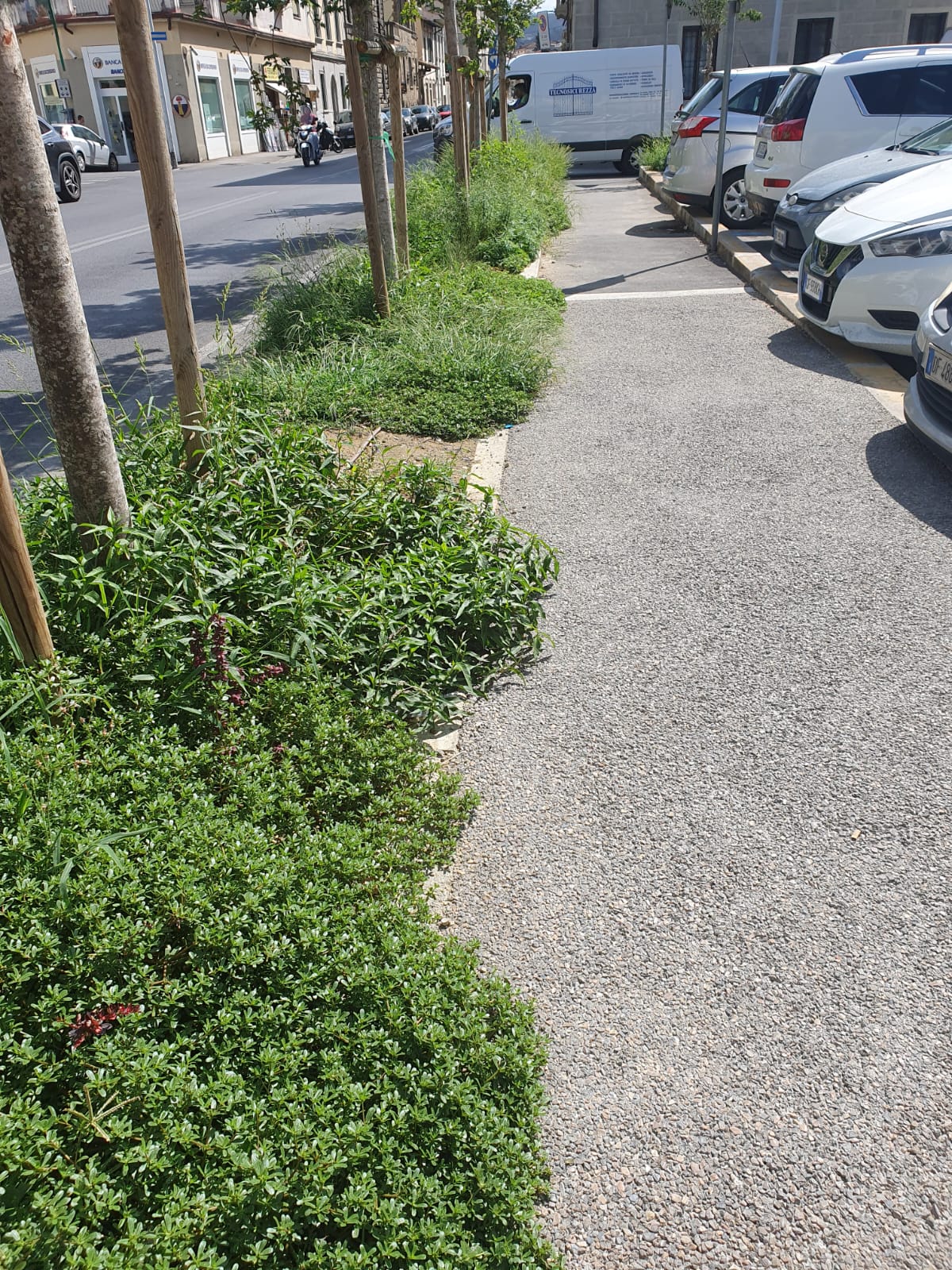 Forestazione urbana