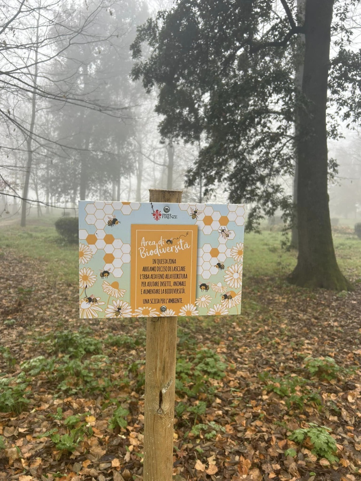 Oggi le Cascine sono meno biodiverse Oggi le Cascine sono meno biodiverse