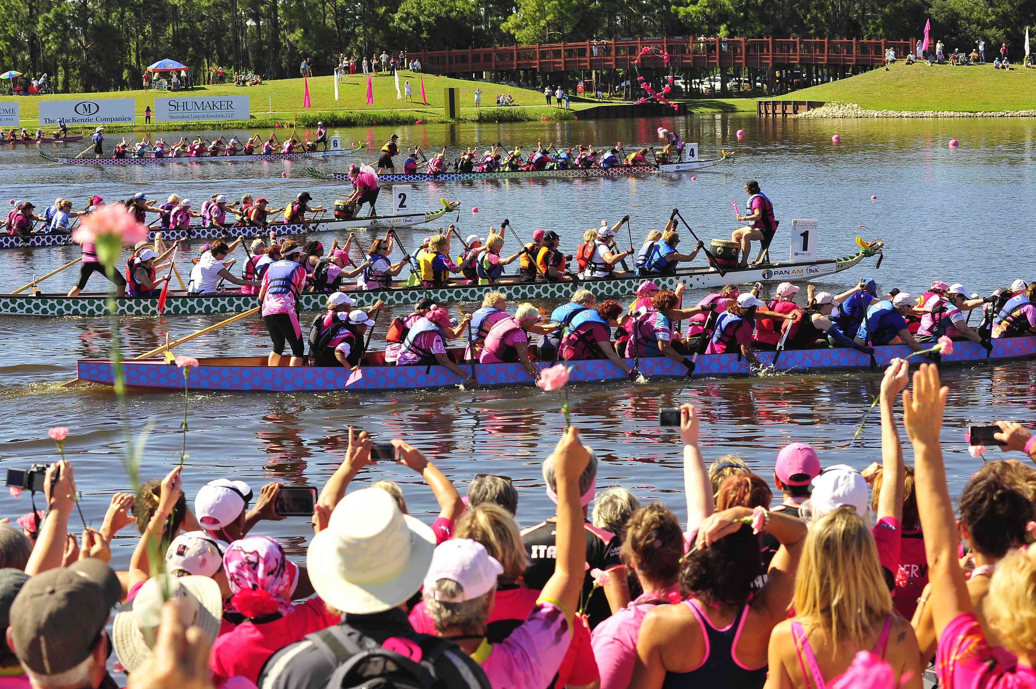 Dragon Boat Festival