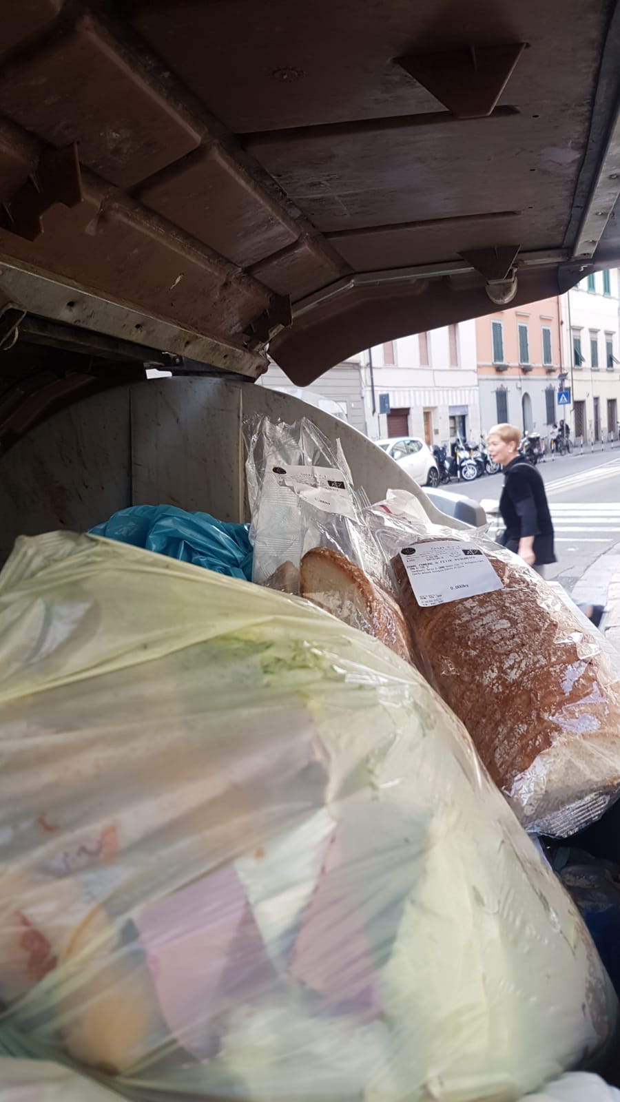 Cibo mensa nei rifiuti Cibo mensa nei rifiuti