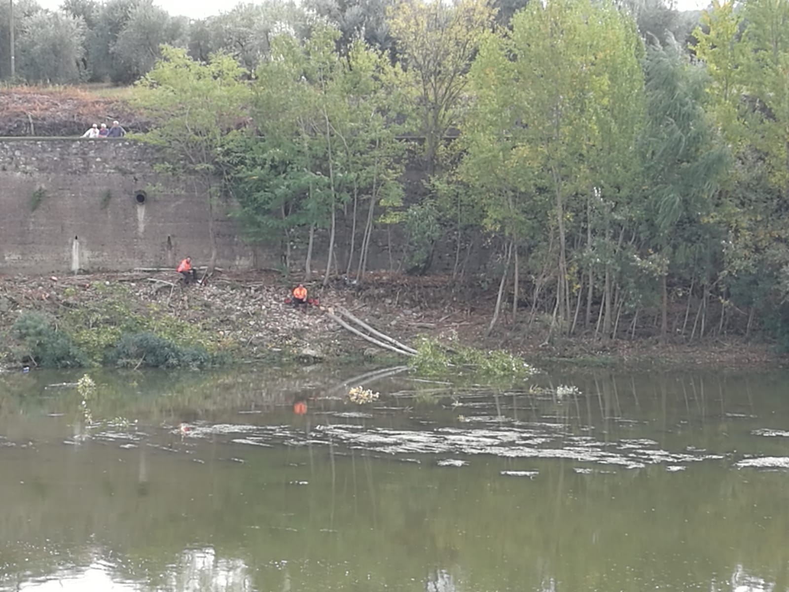 Abbattimenti in zona di Nave a Rovezzano