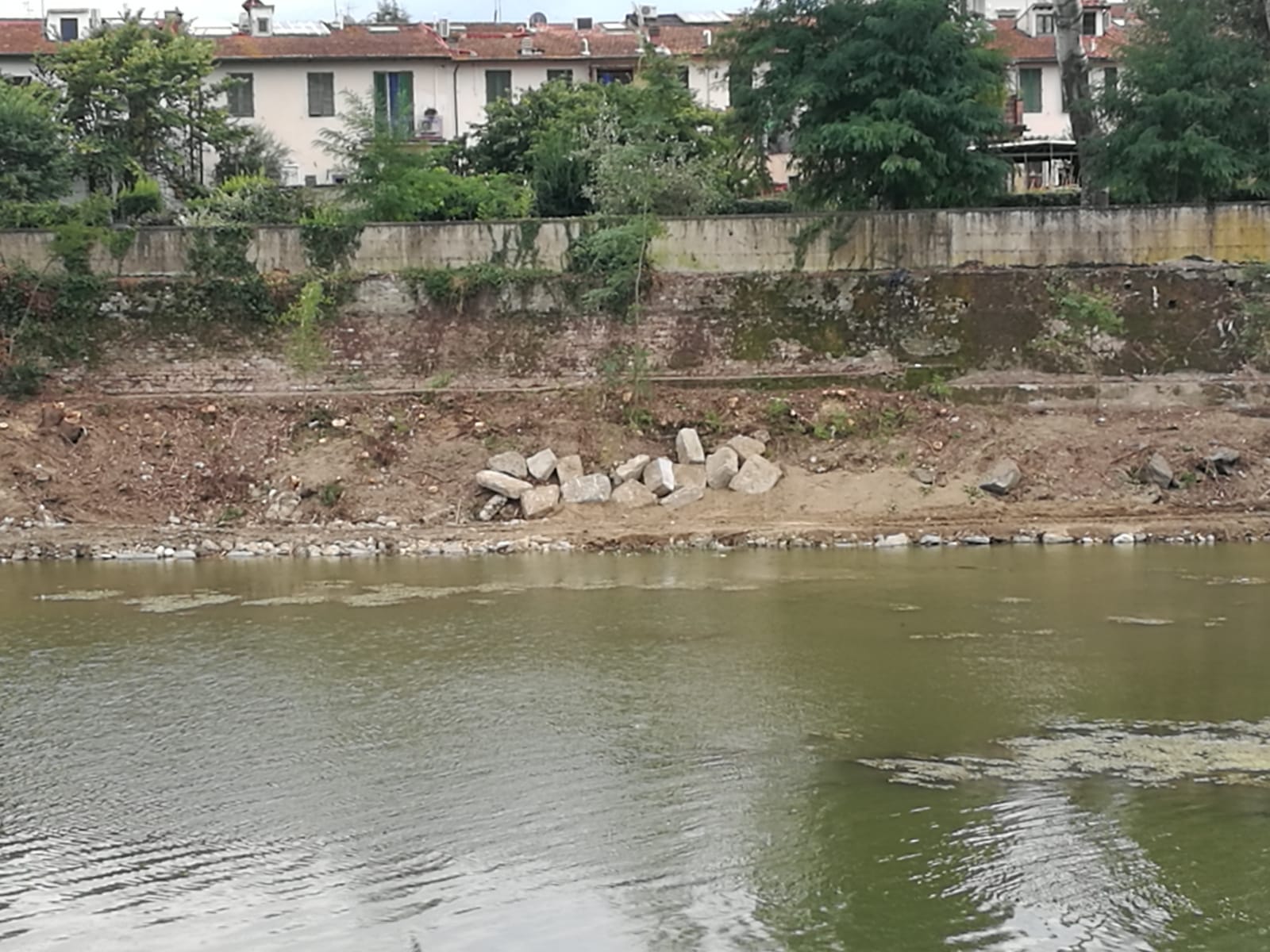 Abbattimenti in zona di Nave a Rovezzano