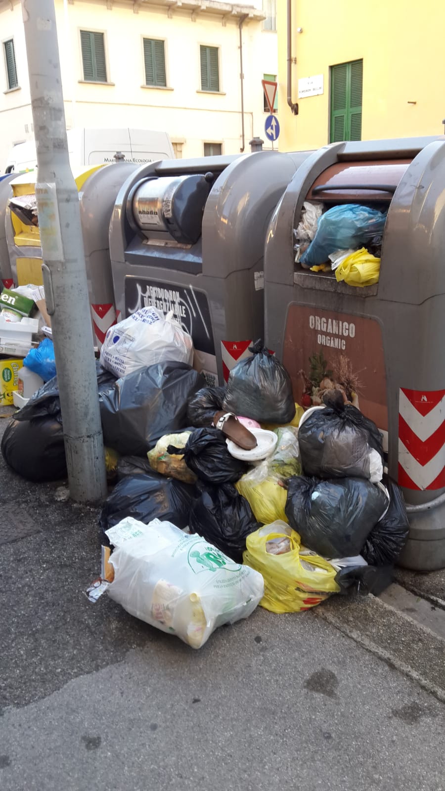 Rifiuti, Torselli (FdI): “Il Comune sposta da via Ponte alle Mosse i  cassonetti e i cumuli di immondizia all'interno”