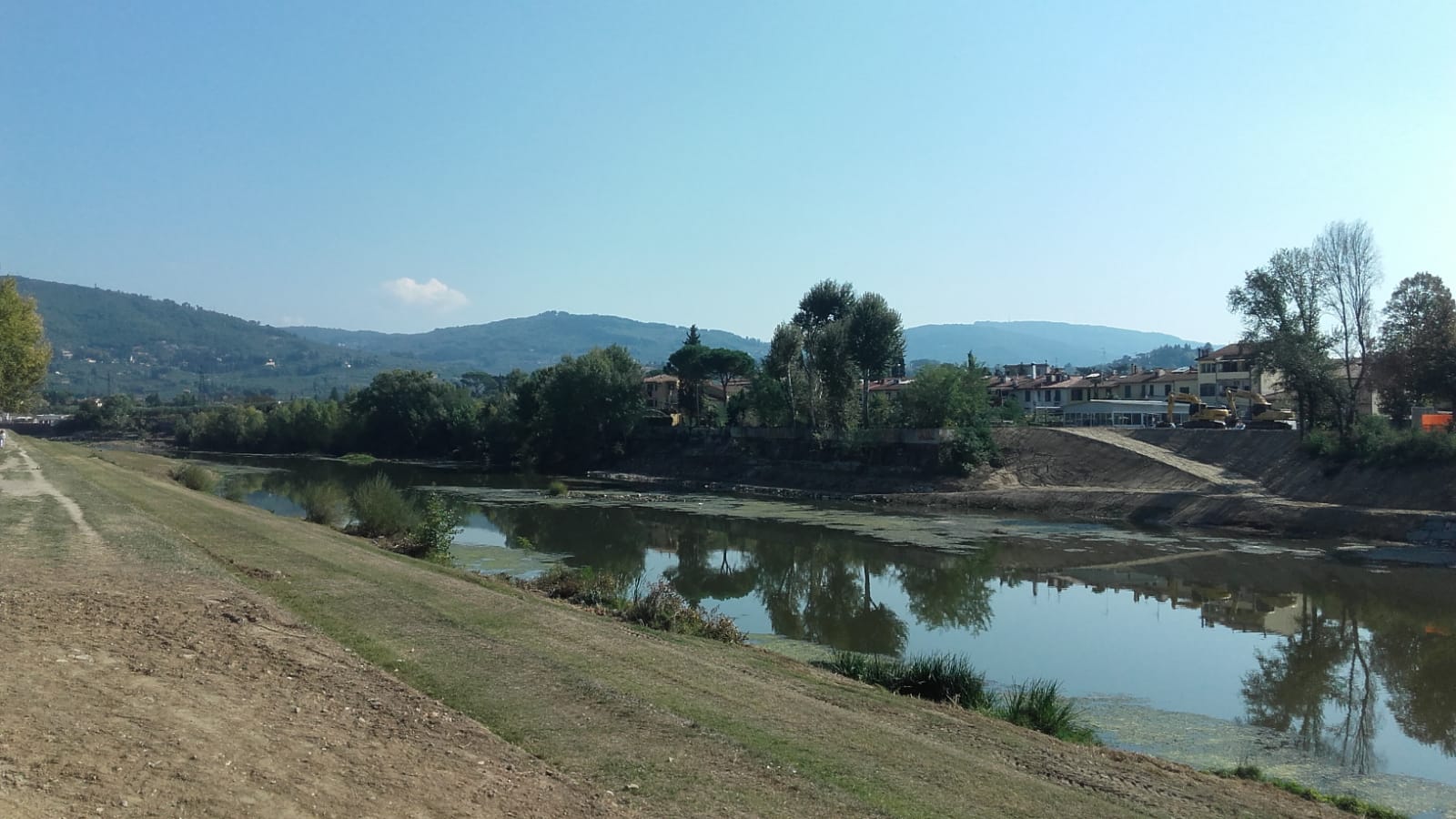 Abbattimenti in zona di Nave a Rovezzano