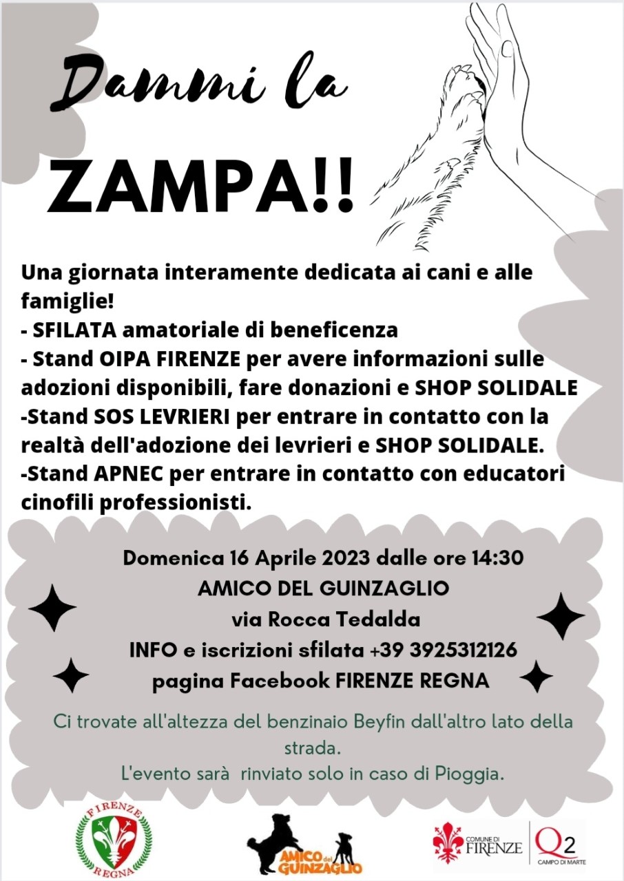 Dammi la zampa! al Quartiere 2 Dammi la zampa! al Quartiere 2