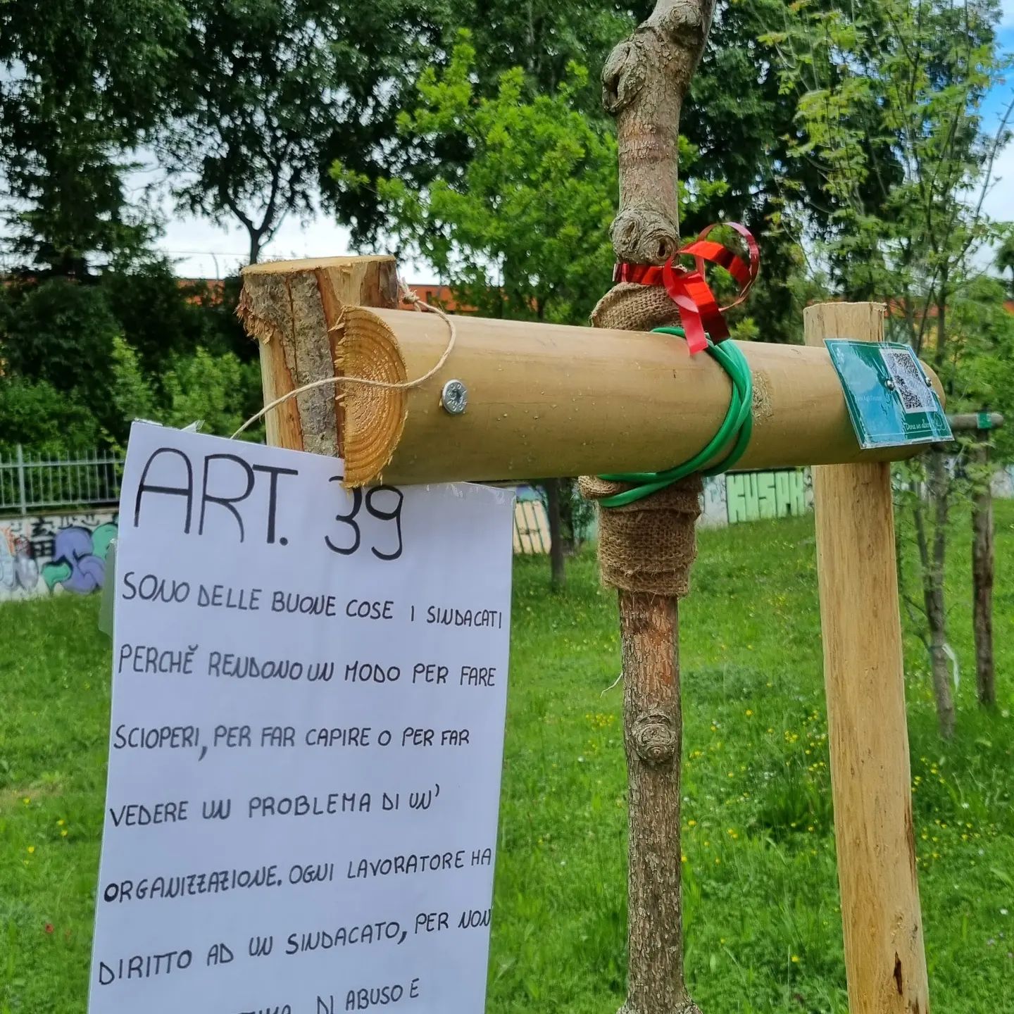 Alberi, Costituzione, Lavoro al Quartiere 5