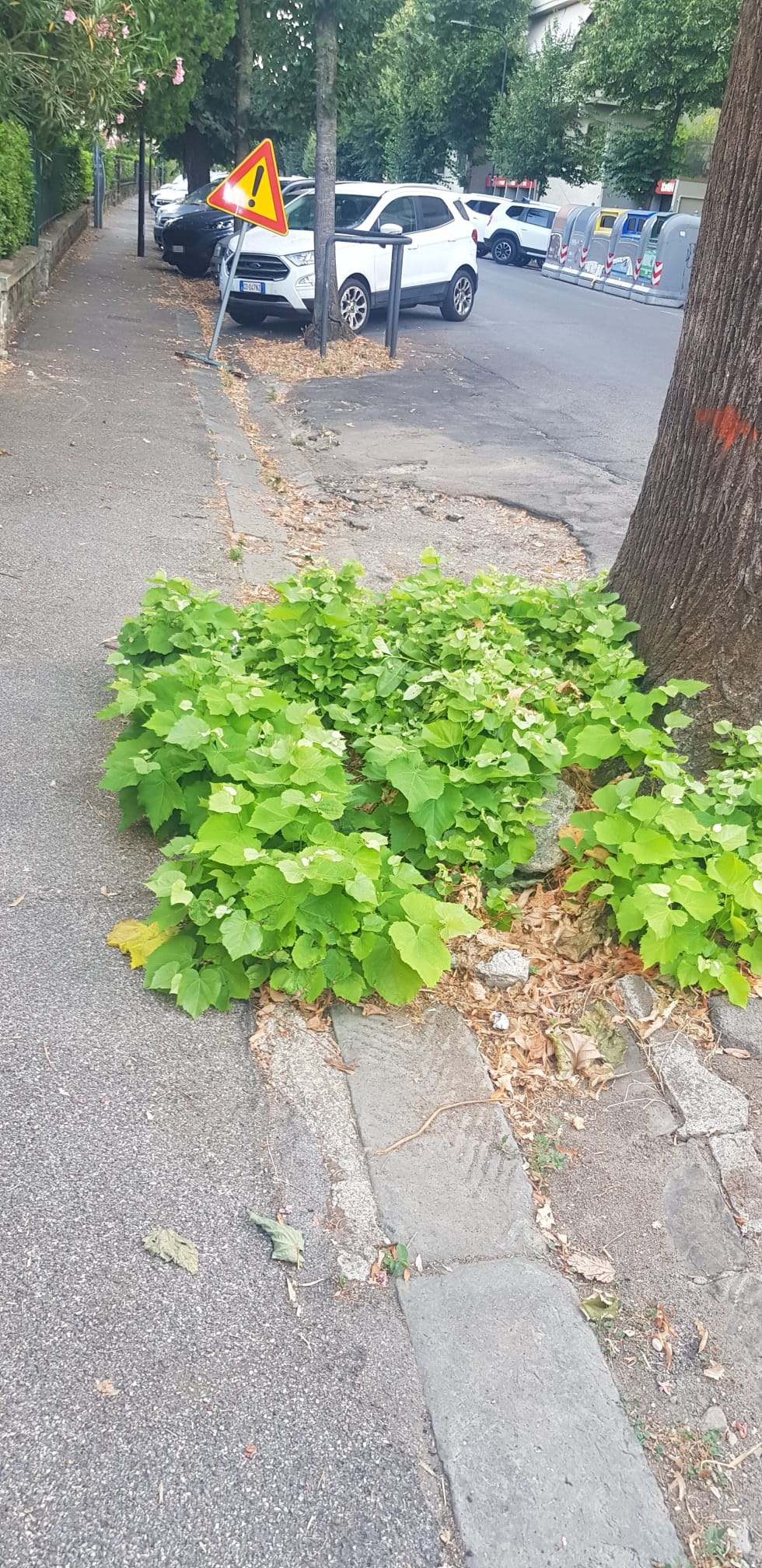 Via di Soffiano: situazione marciapiedi, aiuole e manto stradale indecente