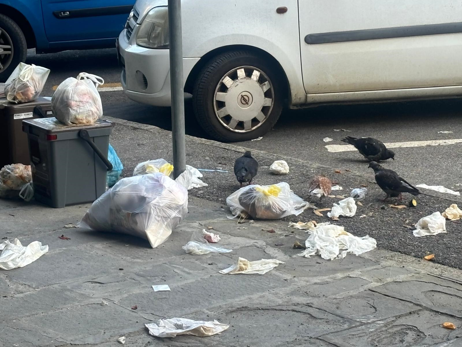 Rifiuti a Sorgane Rifiuti a Sorgane